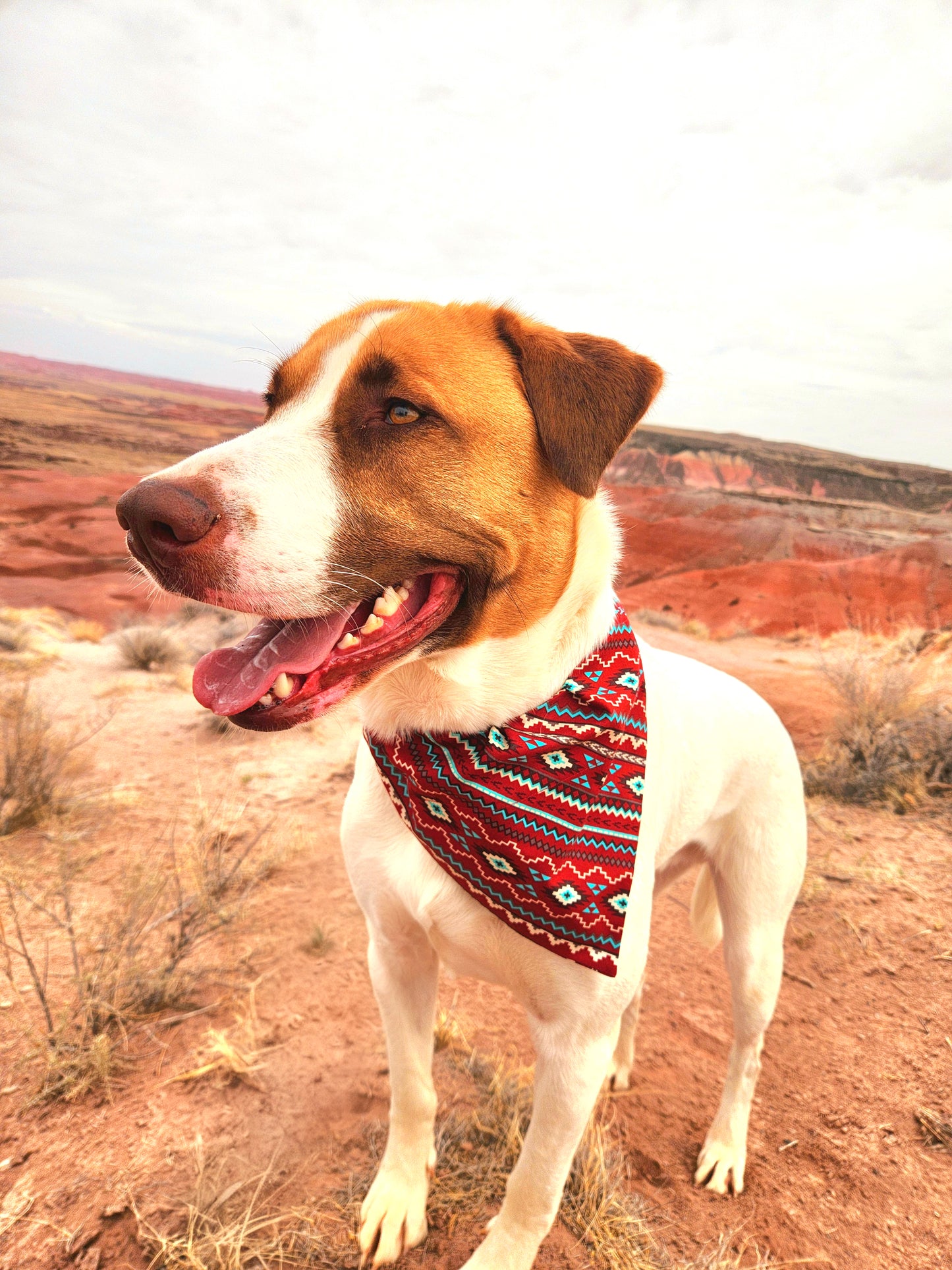 Red Western Pet Bandana