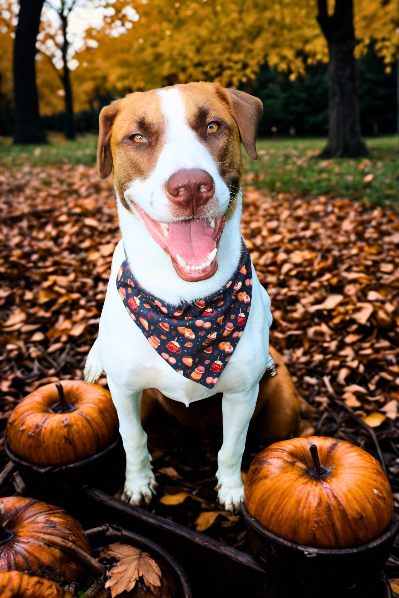 Autumn Delights Pet Bandana - Mutty Mornings
