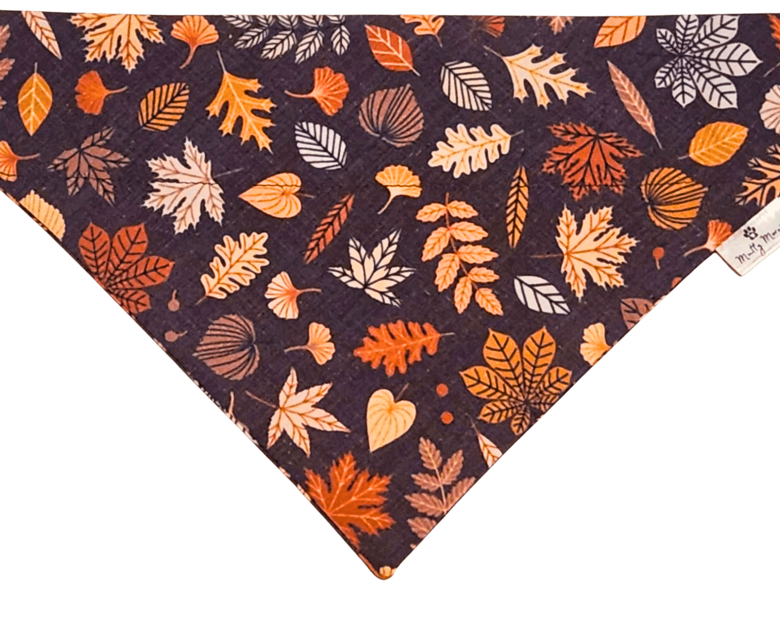 Autumn Leaves Bandana & Headband Set - Mutty Mornings