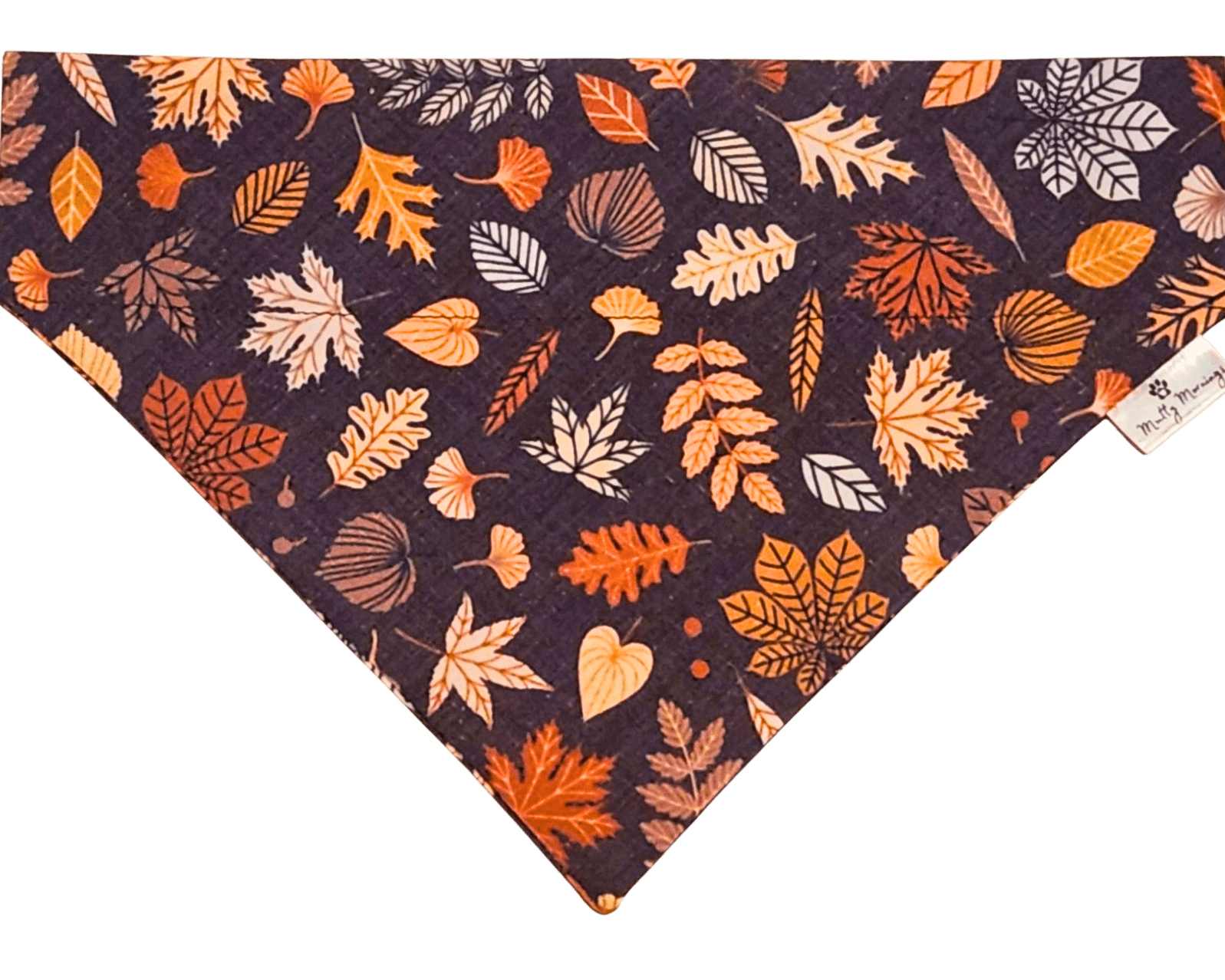 Autumn Leaves Bandana & Headband Set - Mutty Mornings