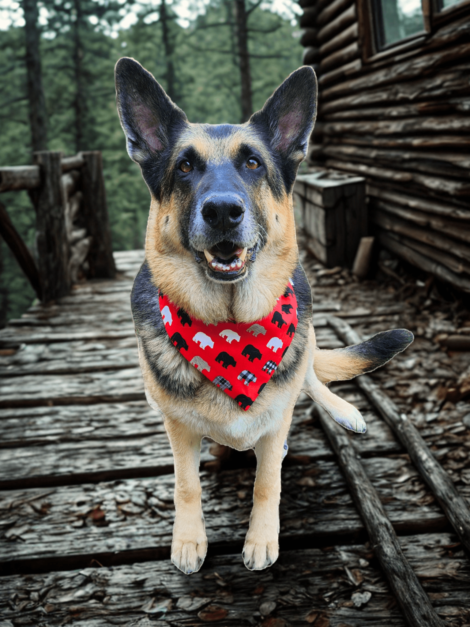 Backwoods Bear Pet Bandana - Mutty Mornings