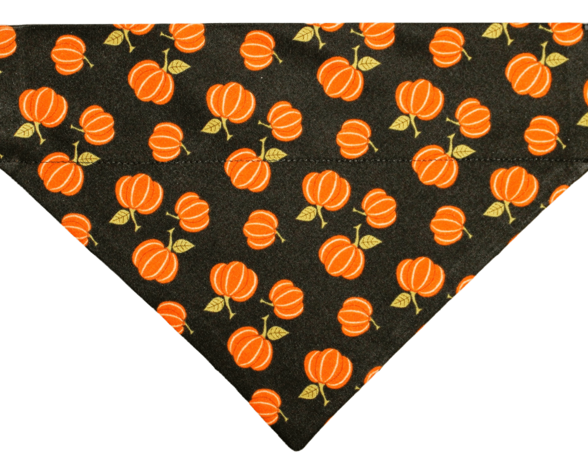 Black Pumpkin Patch Pet Bandana - Mutty Mornings