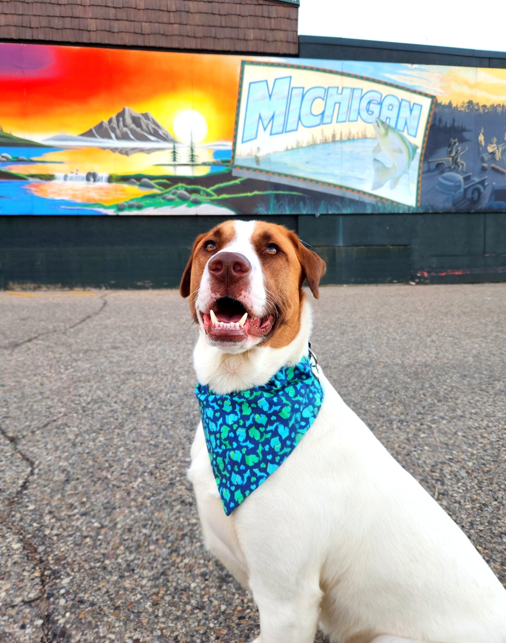 Blue Mitten Pet Bandana - Mutty Mornings