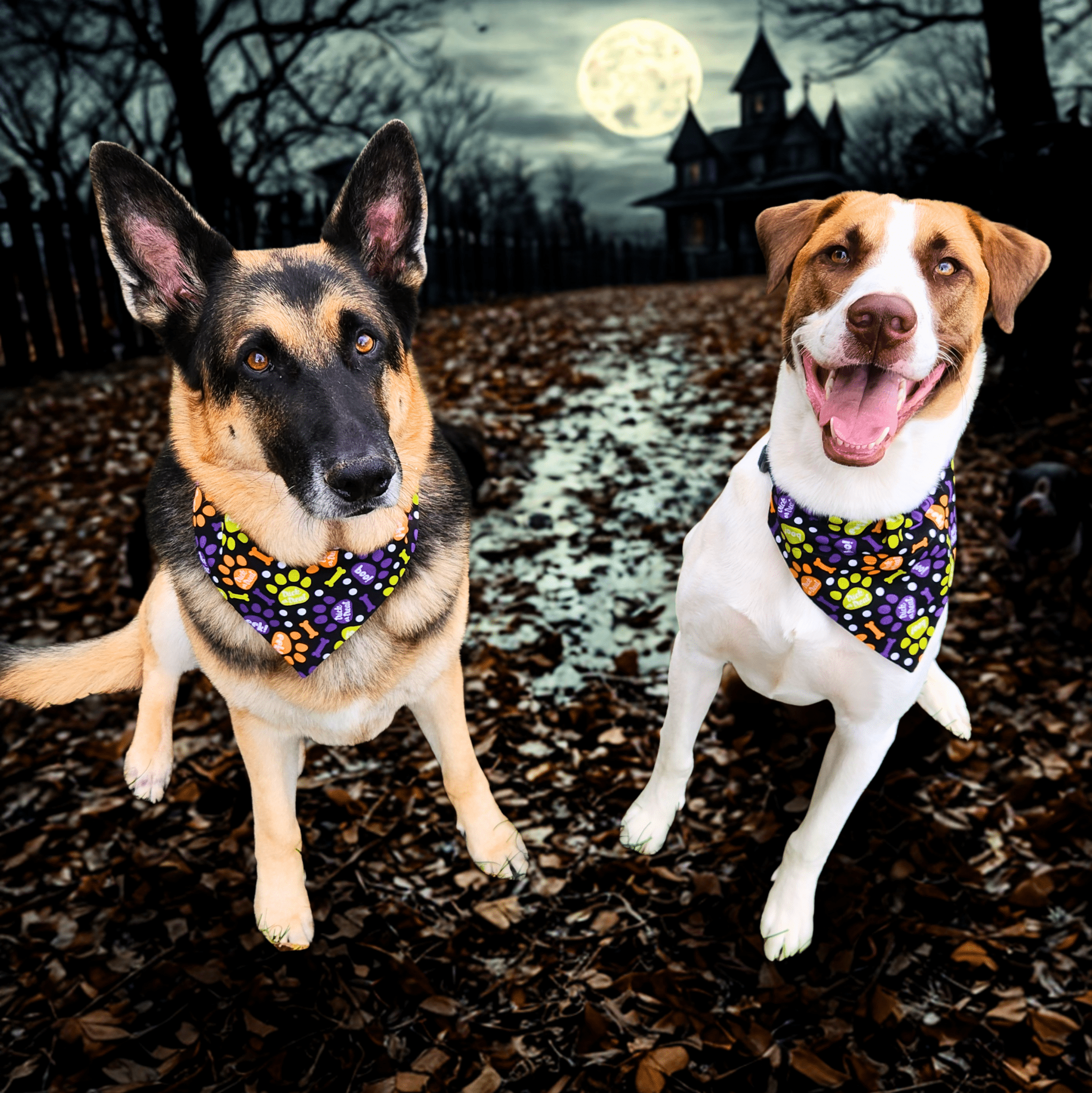 Boo Crew Pet Bandana - Mutty Mornings