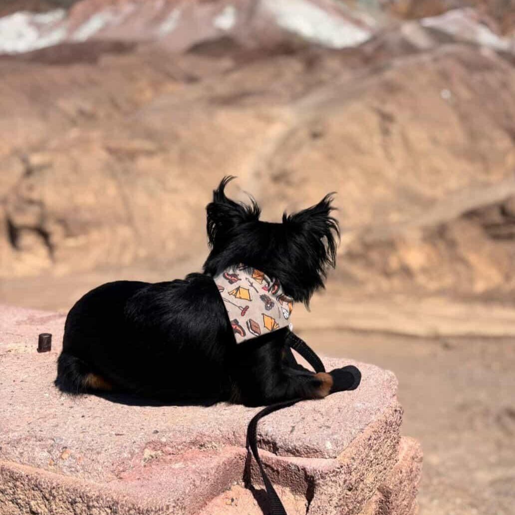 Camping Trails Pet Bandana - Mutty Mornings