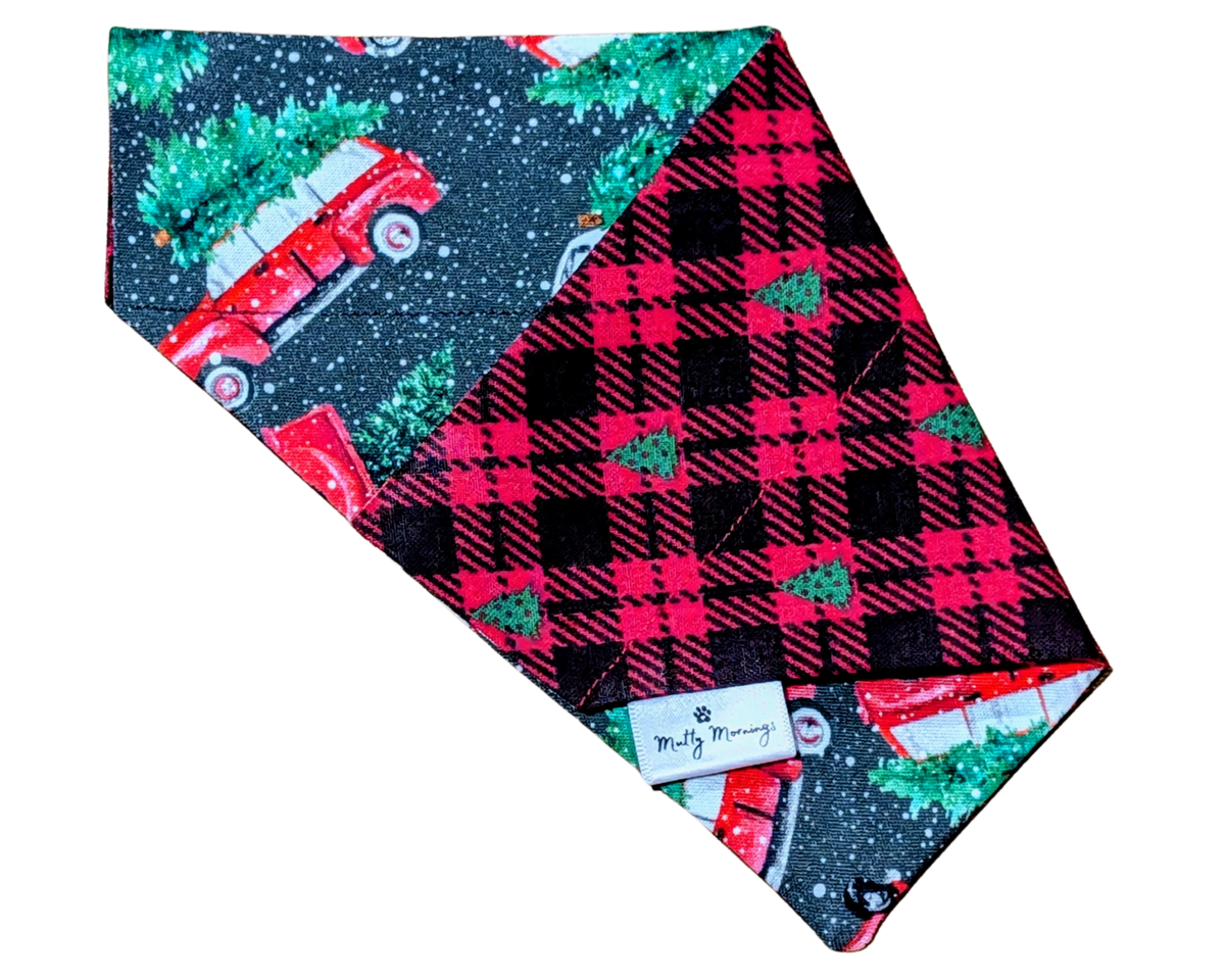 Christmas Tree Farm Reversible Pet Bandana - Mutty Mornings