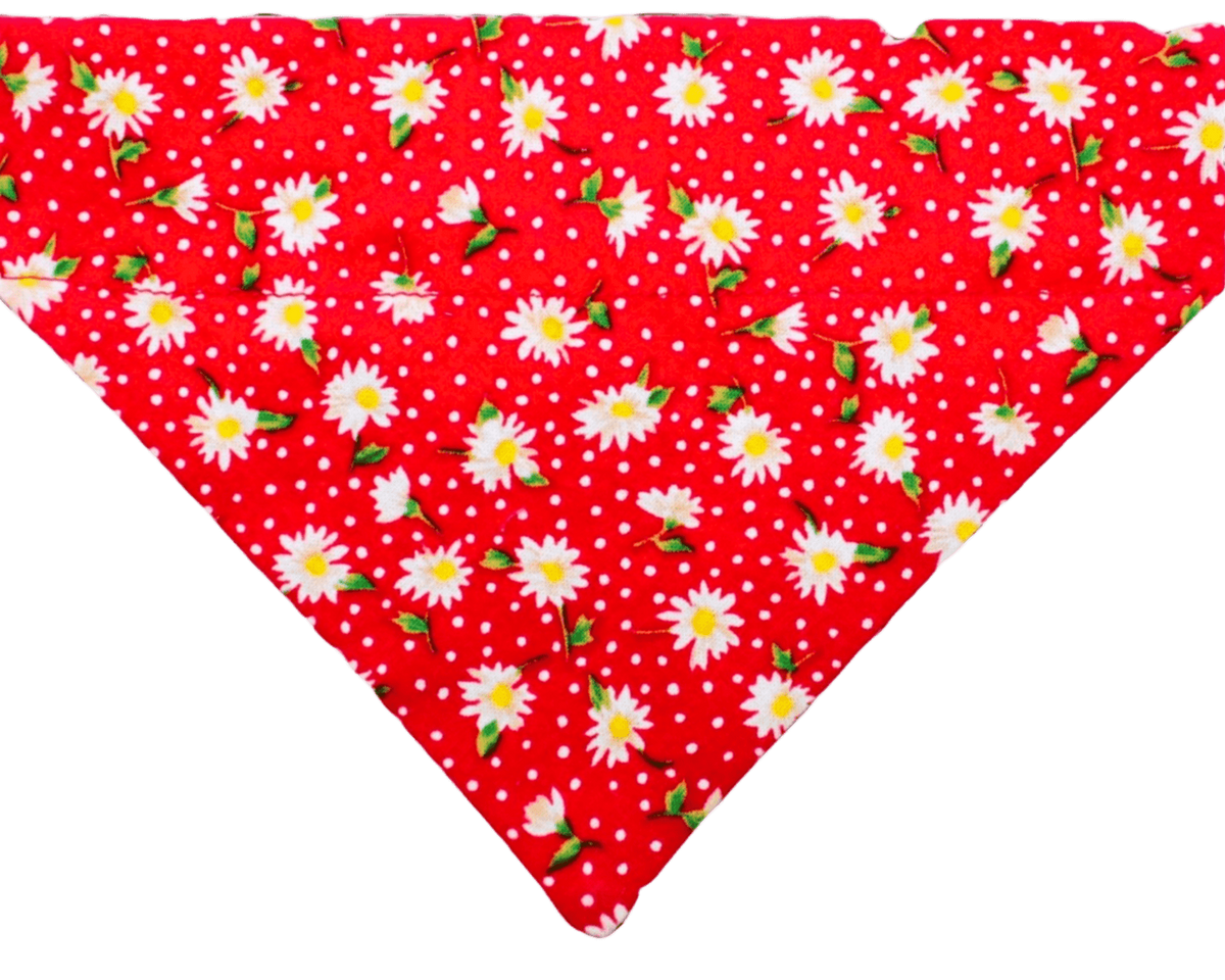 Dotty Daisy Pet Bandana - Mutty Mornings