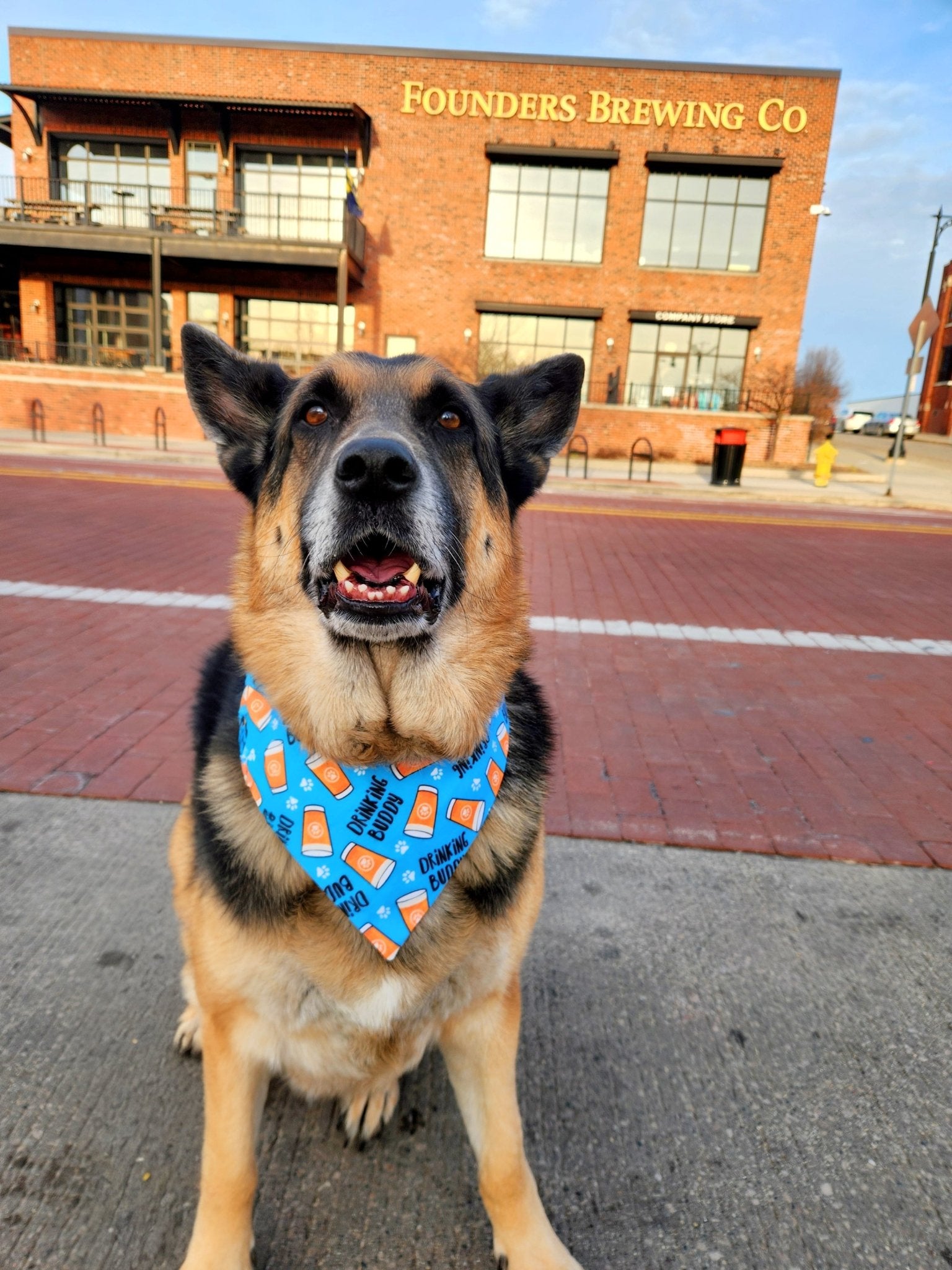 Drinking Buddy Beer Pet Bandana - Mutty Mornings