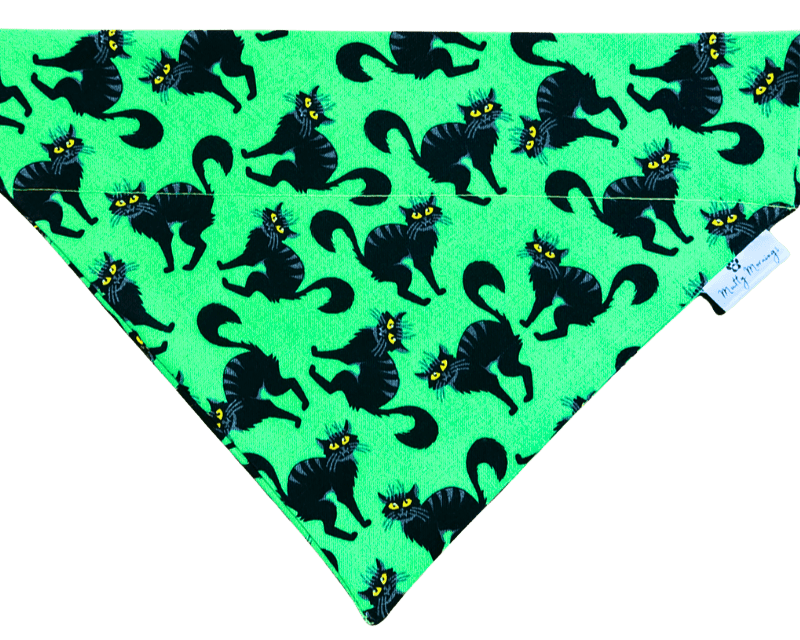 Feline Fright Pet Bandana - Mutty Mornings