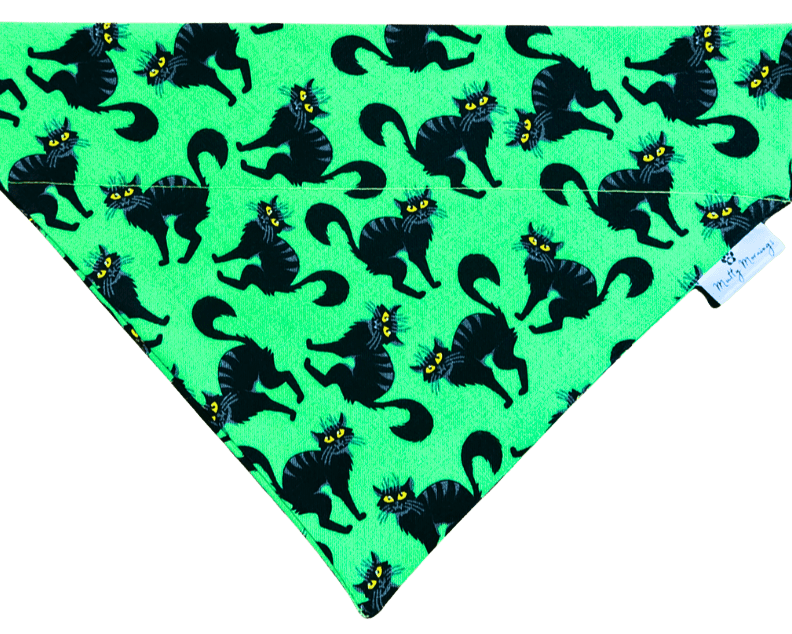 Feline Fright Pet Bandana - Mutty Mornings