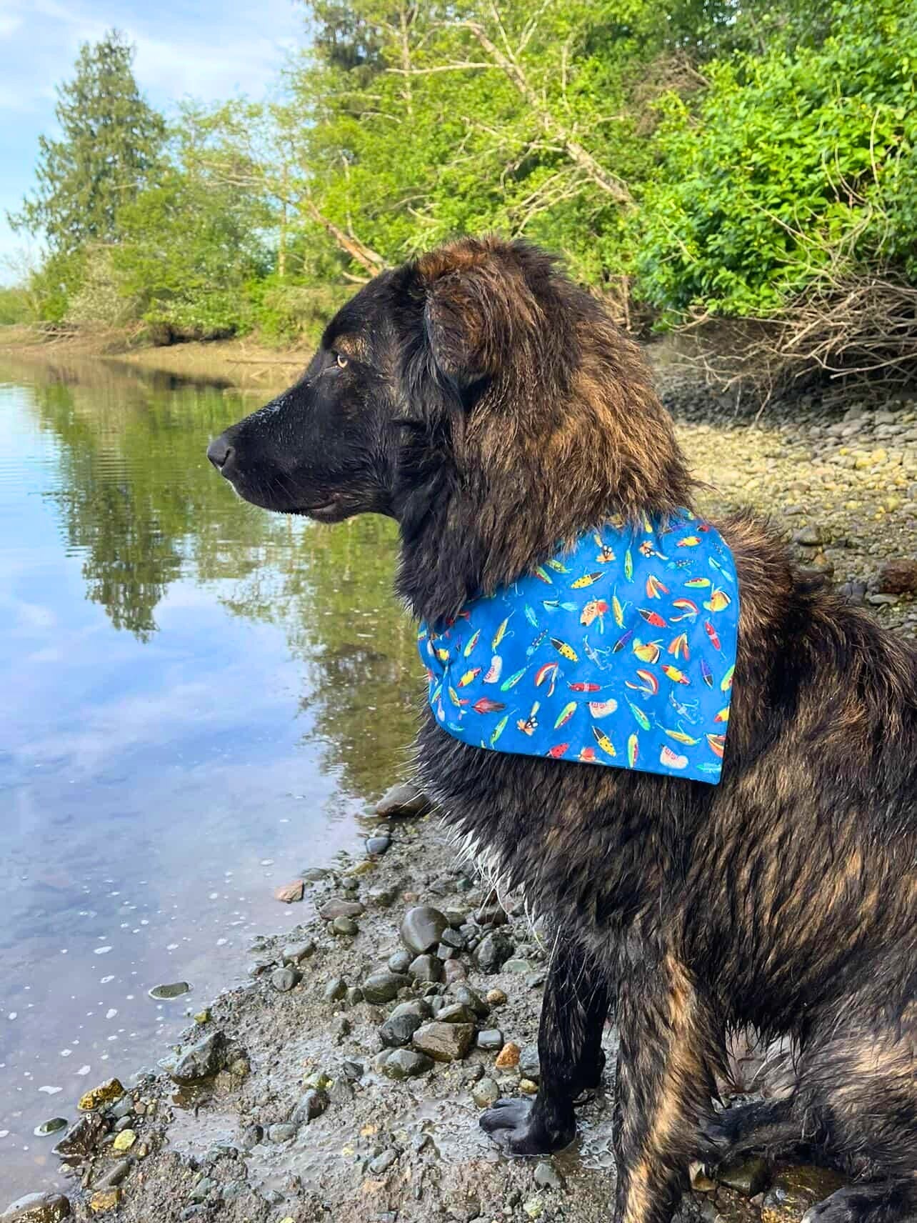 Gone Fishing Pet Bandana - Mutty Mornings