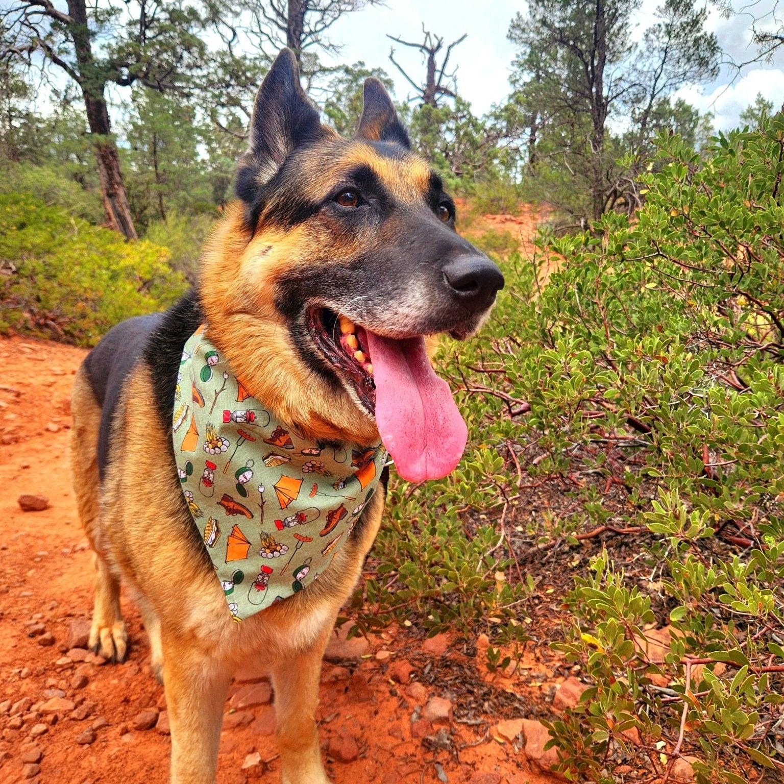 Green Camping Pet Bandana - Mutty Mornings