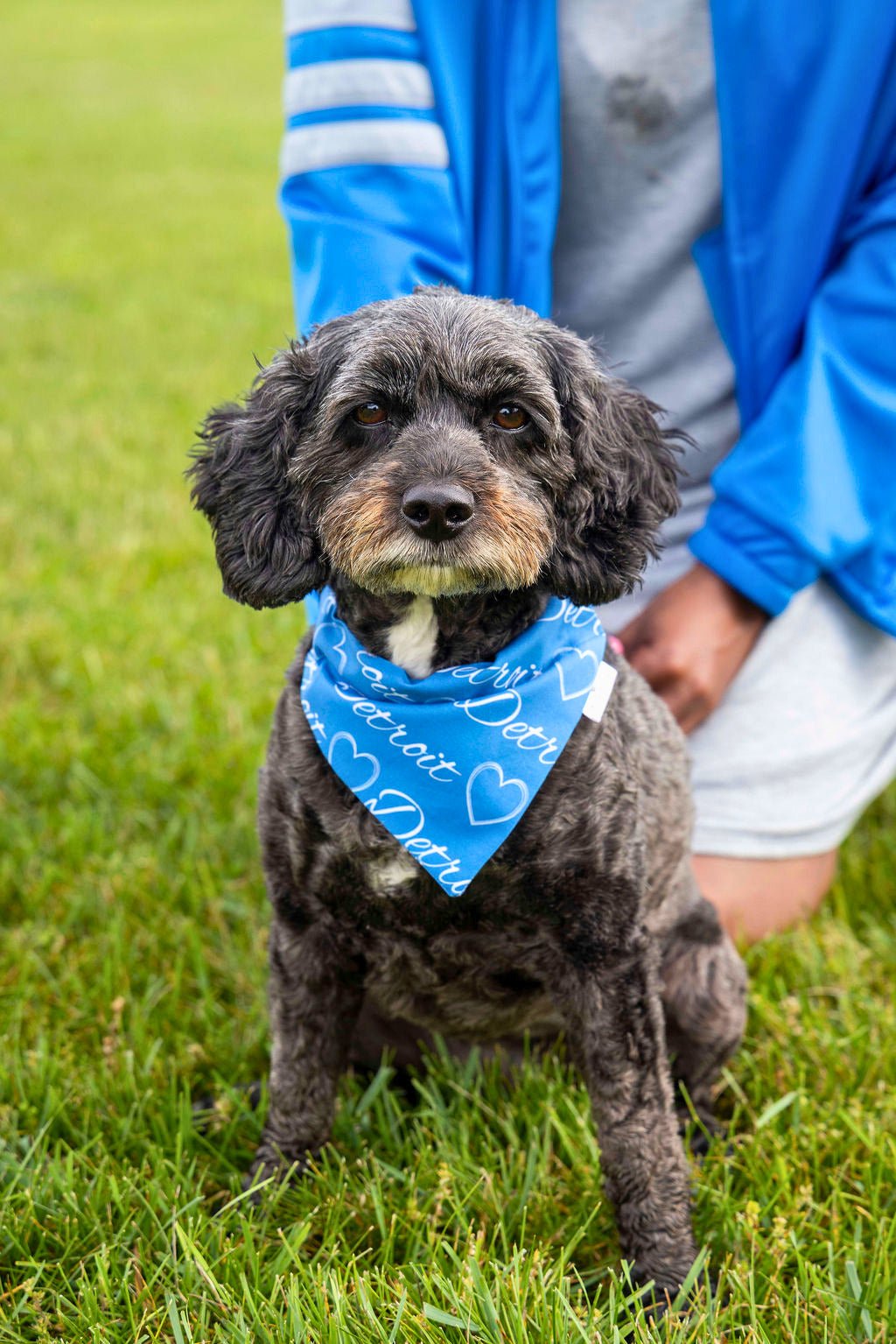 I Heart Detroit Pet Bandana - Mutty Mornings