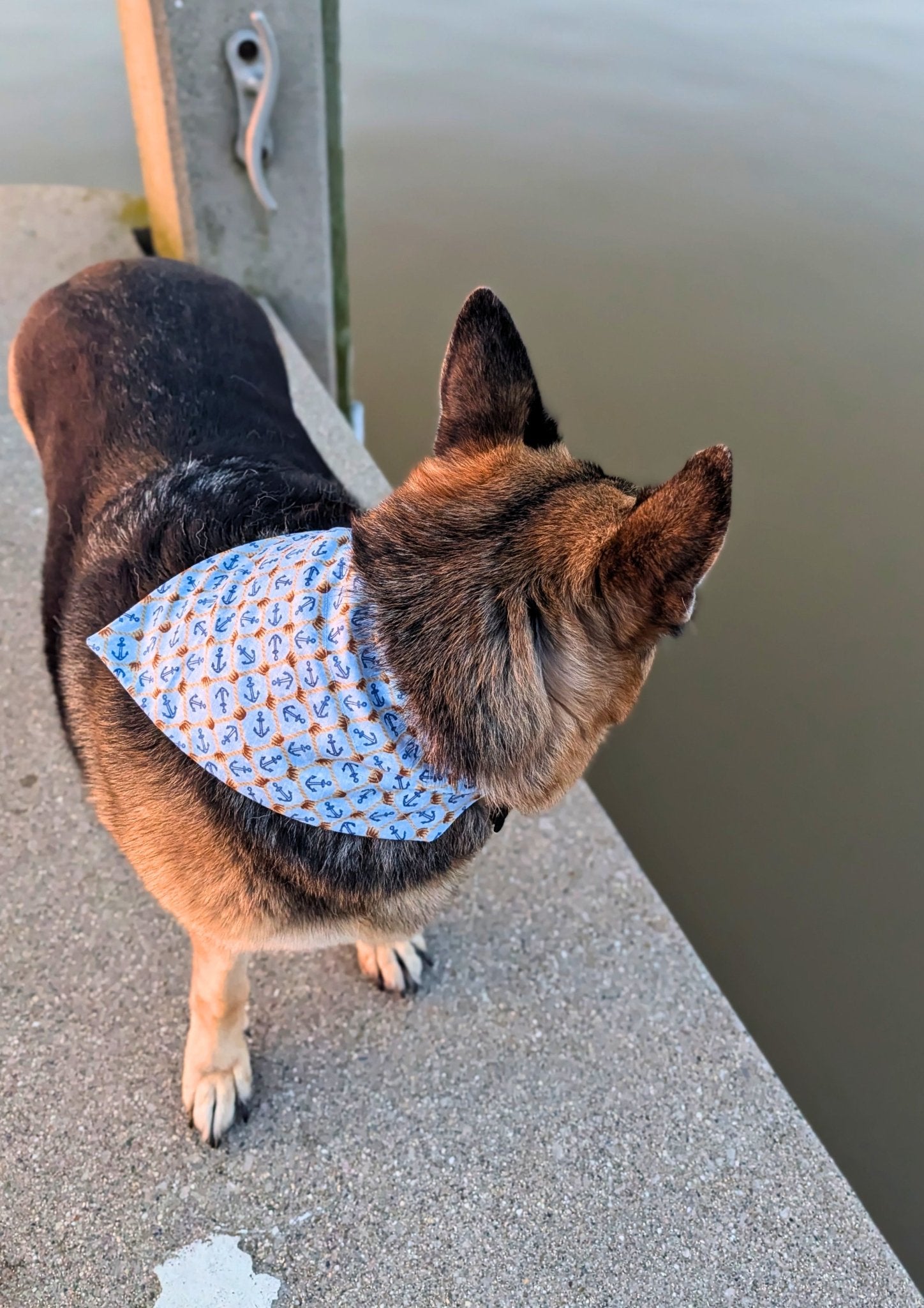 Knotted Anchors Pet Bandana - Mutty Mornings