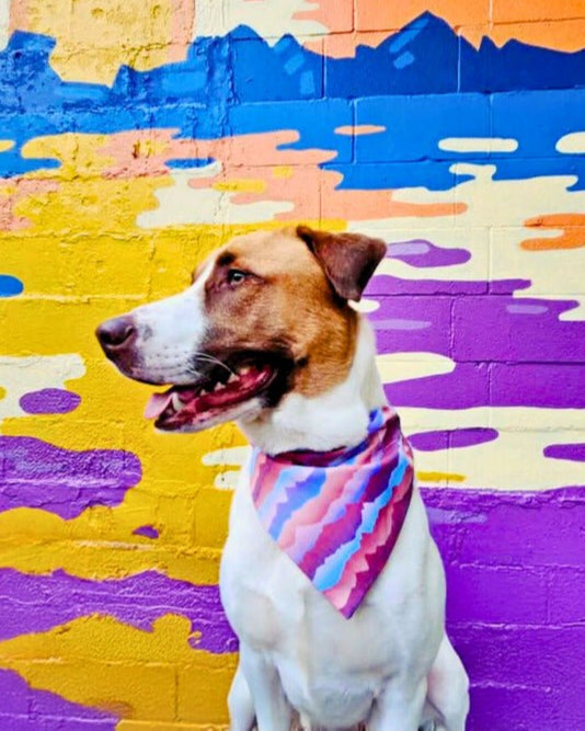 Mountain Sunrise Pet Bandana - Mutty Mornings