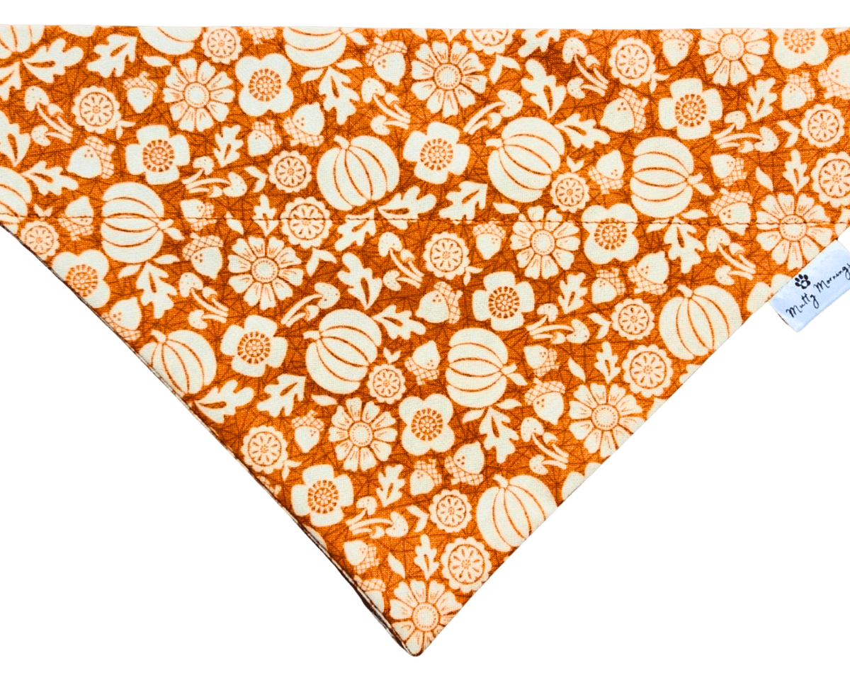 Pumpkin Blooms Pet Bandana - Mutty Mornings