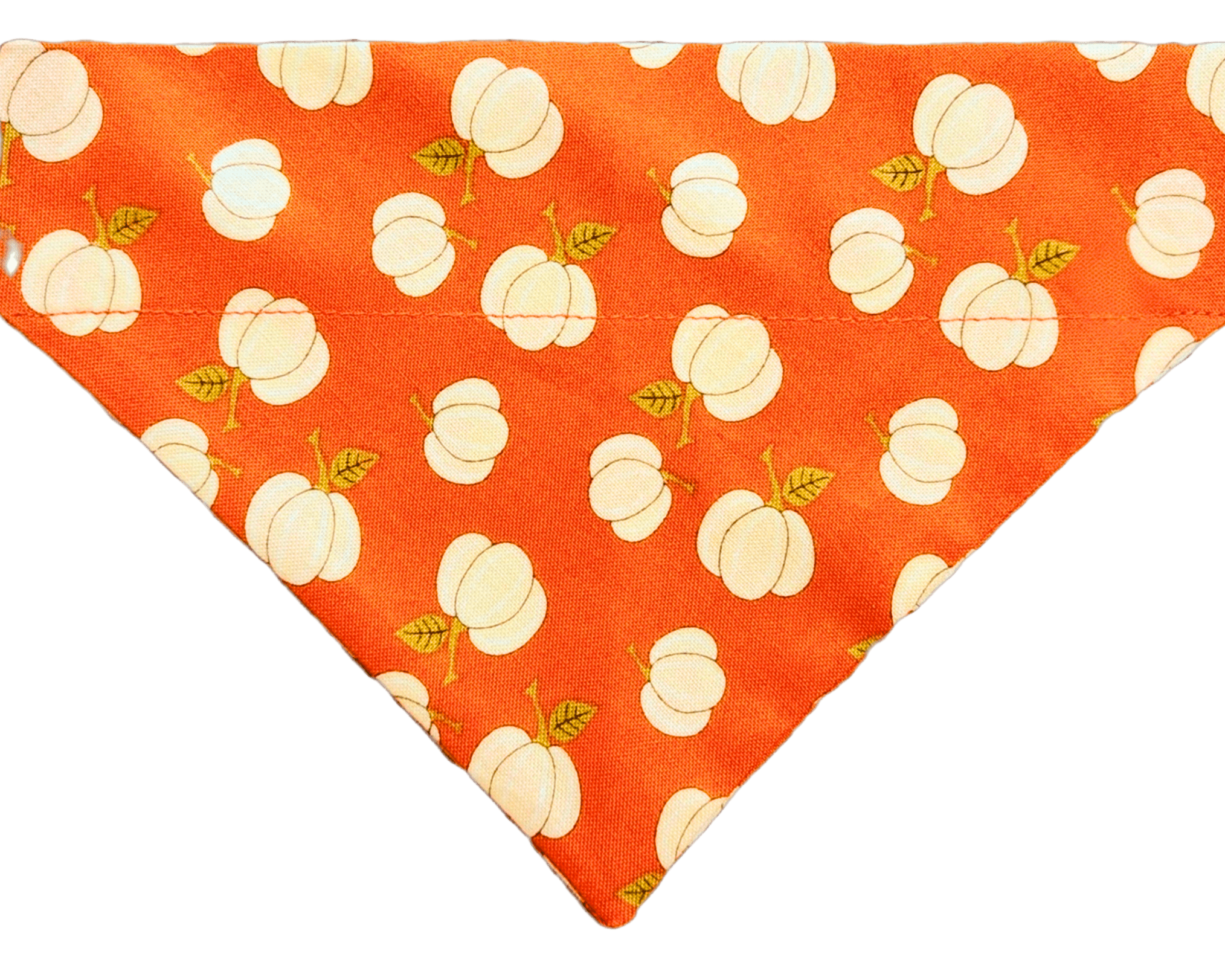 Pumpkin Spice Pet Bandana - Mutty Mornings