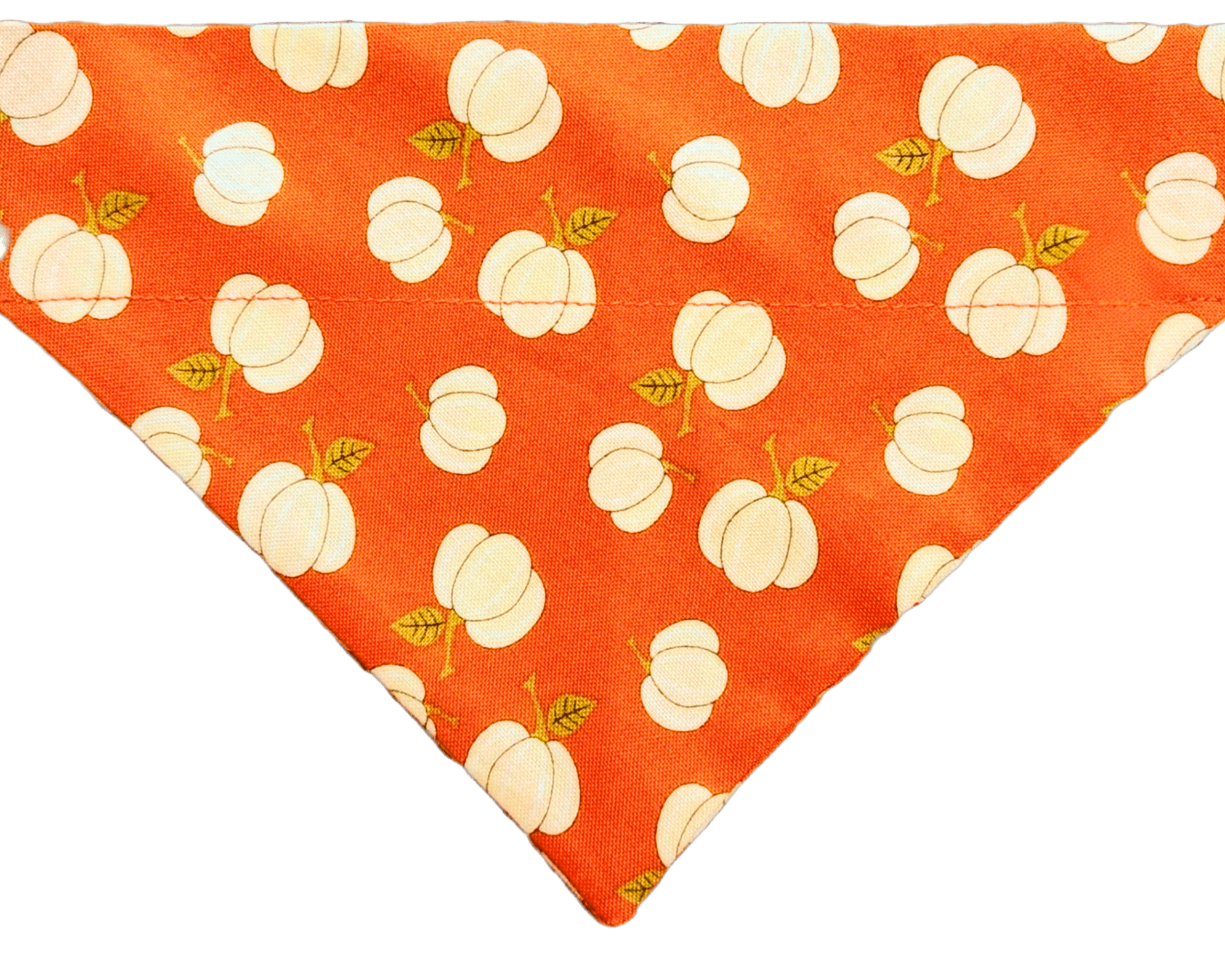 Pumpkin Spice Pet Bandana - Mutty Mornings