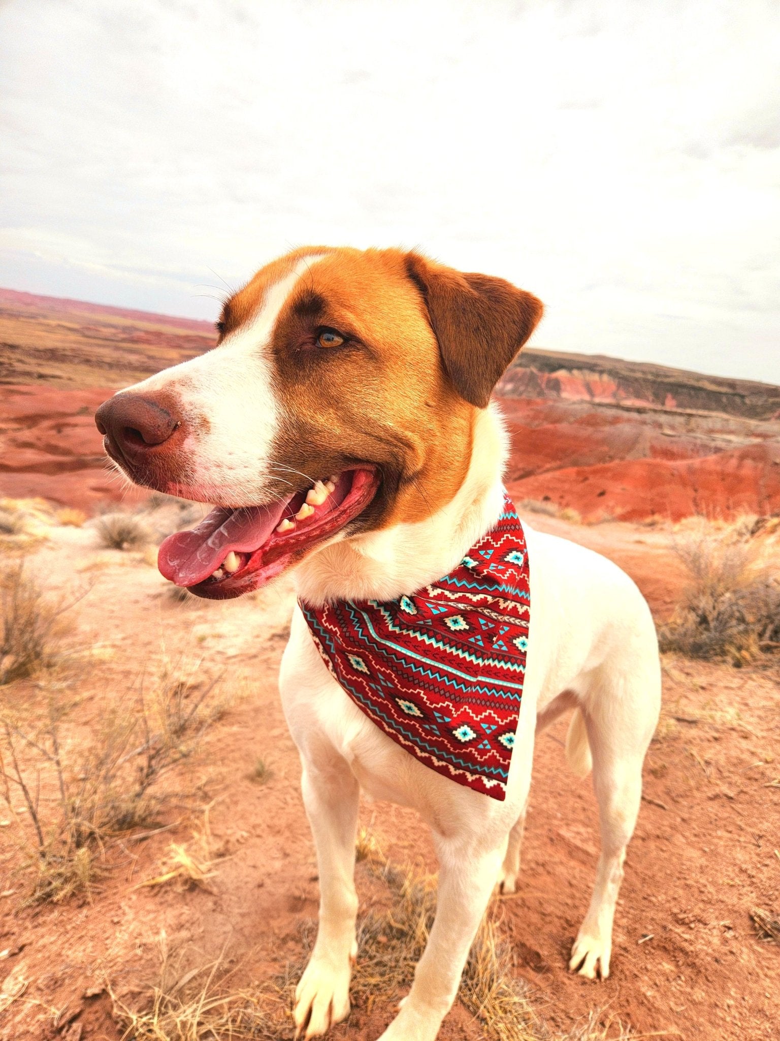 Red Western Pet Bandana - Mutty Mornings