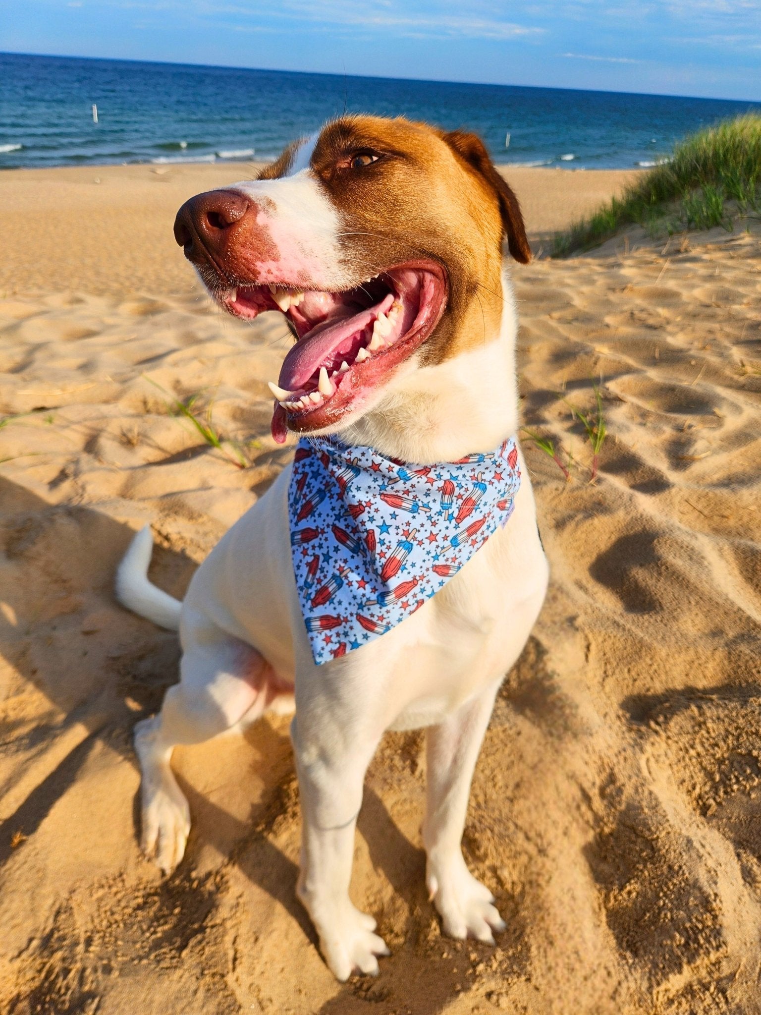 Rocket Pop Pup Pet Bandana - Mutty Mornings