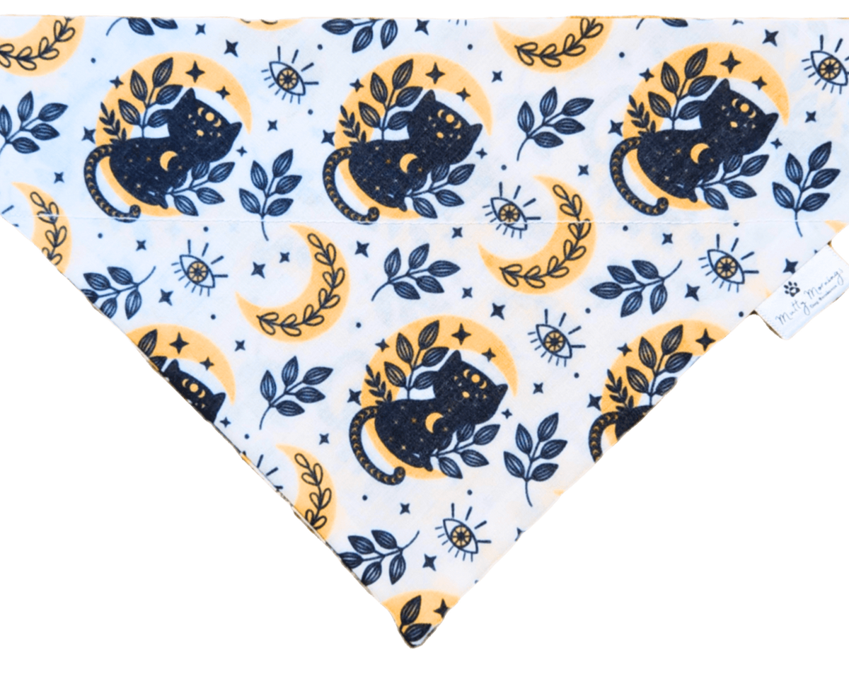 Salem Bandana & Headband Set - Mutty Mornings