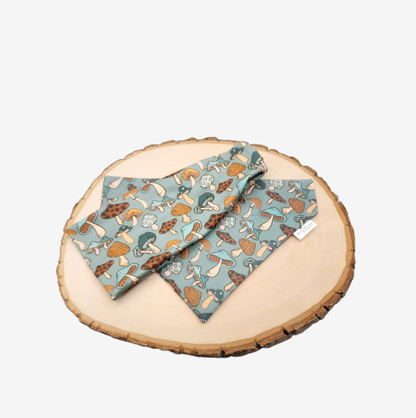 Sassy Mushroom Bandana and Headband Set - Mutty Mornings
