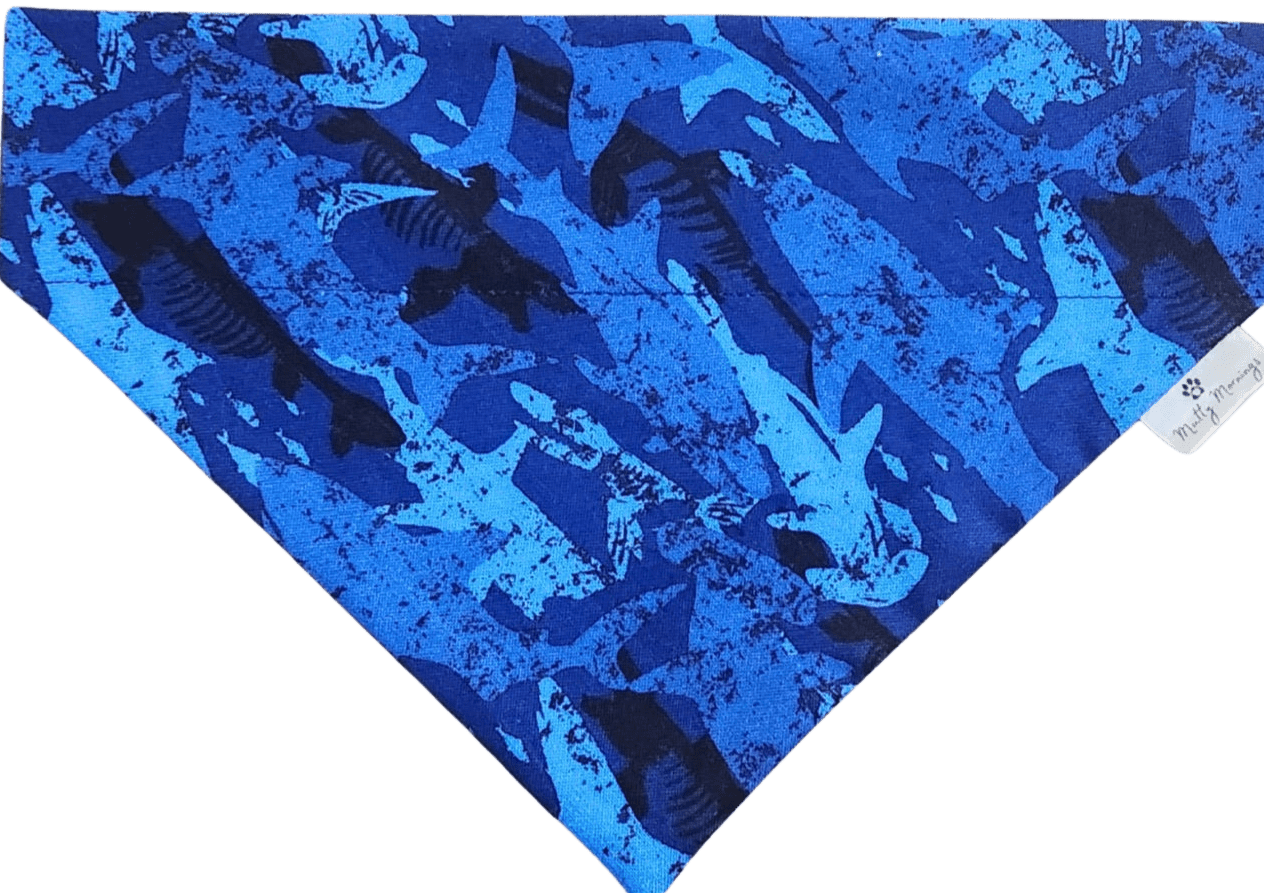 Sharky Pet Bandana - Mutty Mornings