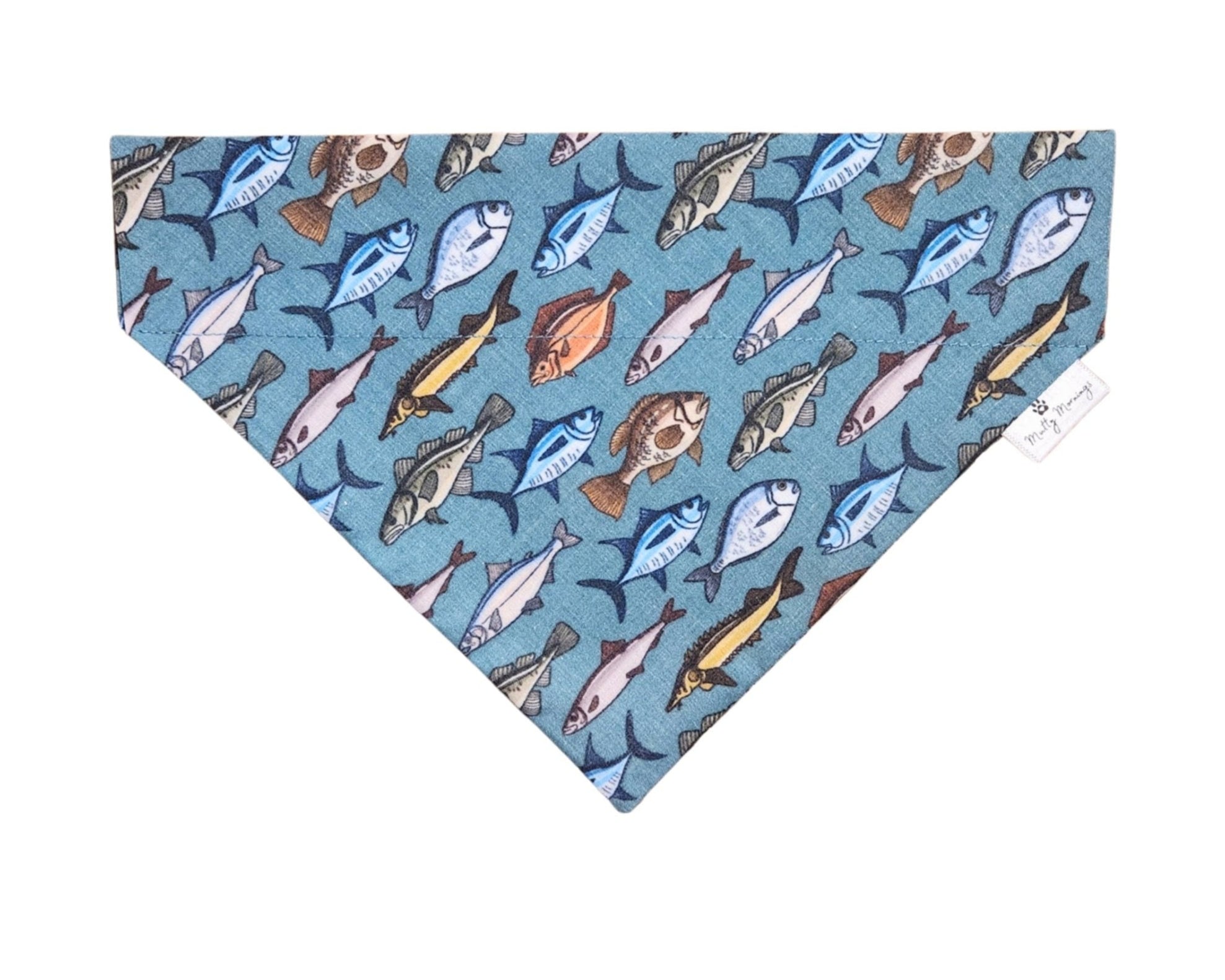 Something Fishy Pet Bandana - Mutty Mornings