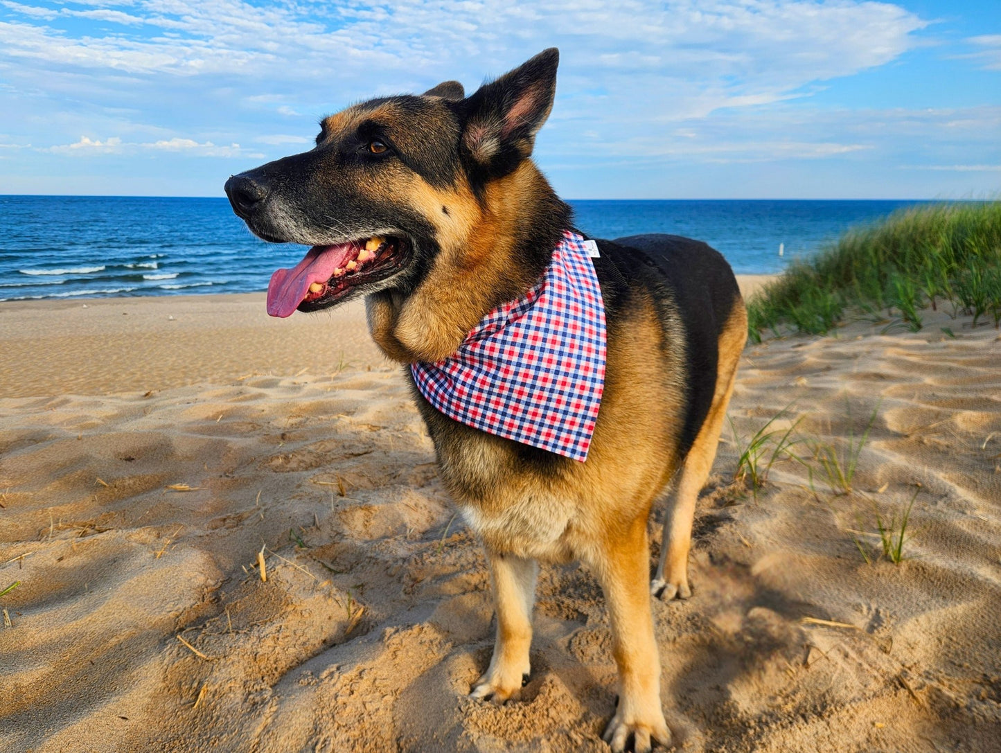 Stars & Stripes Plaid Pet Bandana - Mutty Mornings