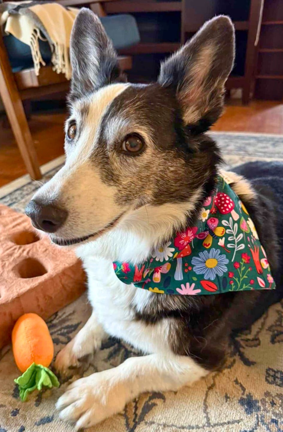 Wildflower Disco Pet Bandana - Mutty Mornings