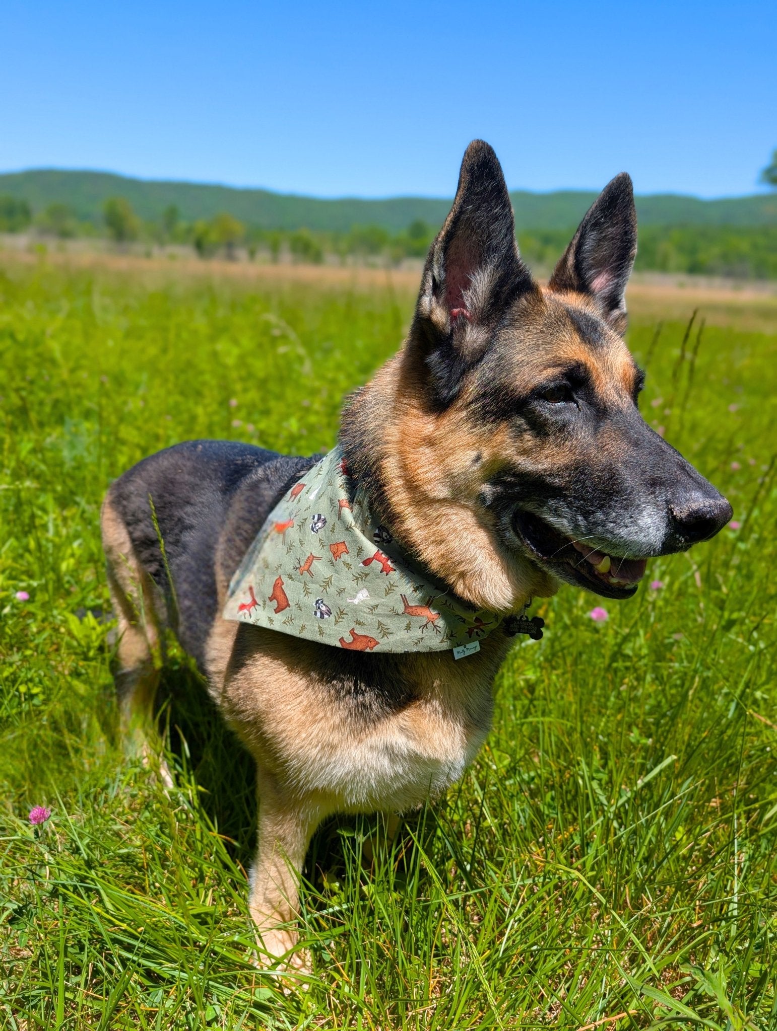 Woodland Wanderer Pet Bandana - Mutty Mornings