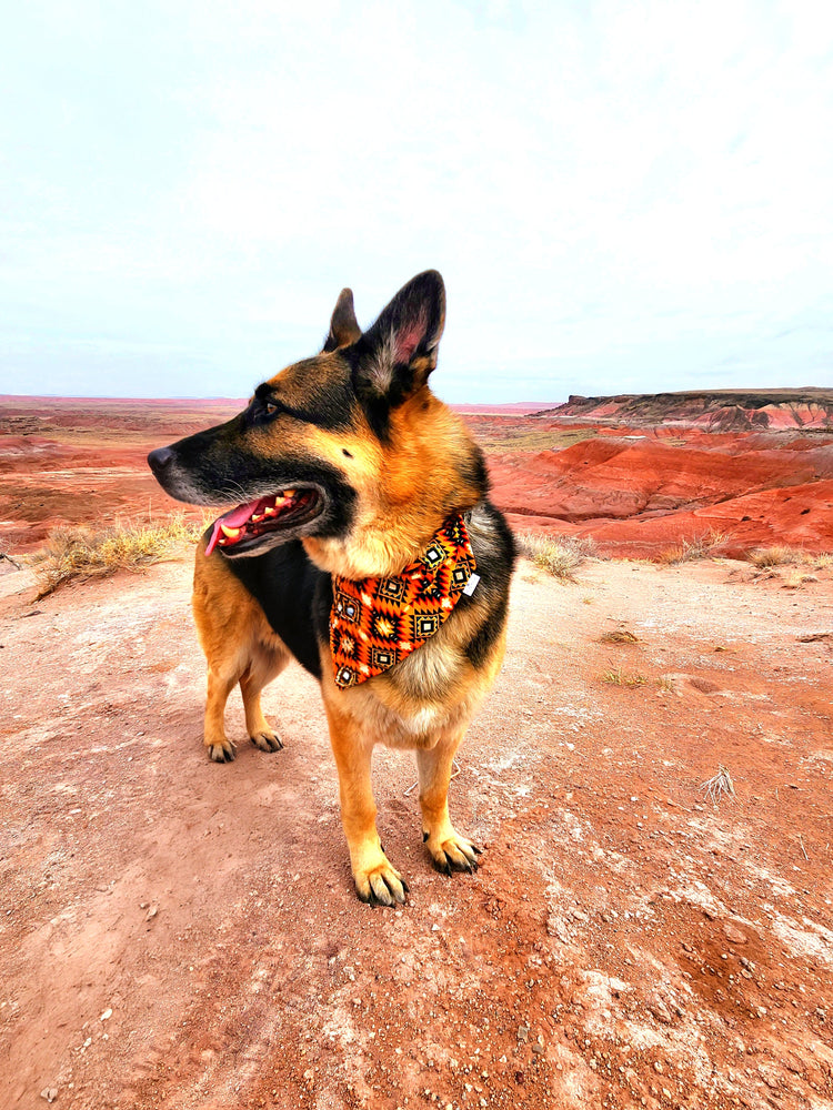 Desert Heat