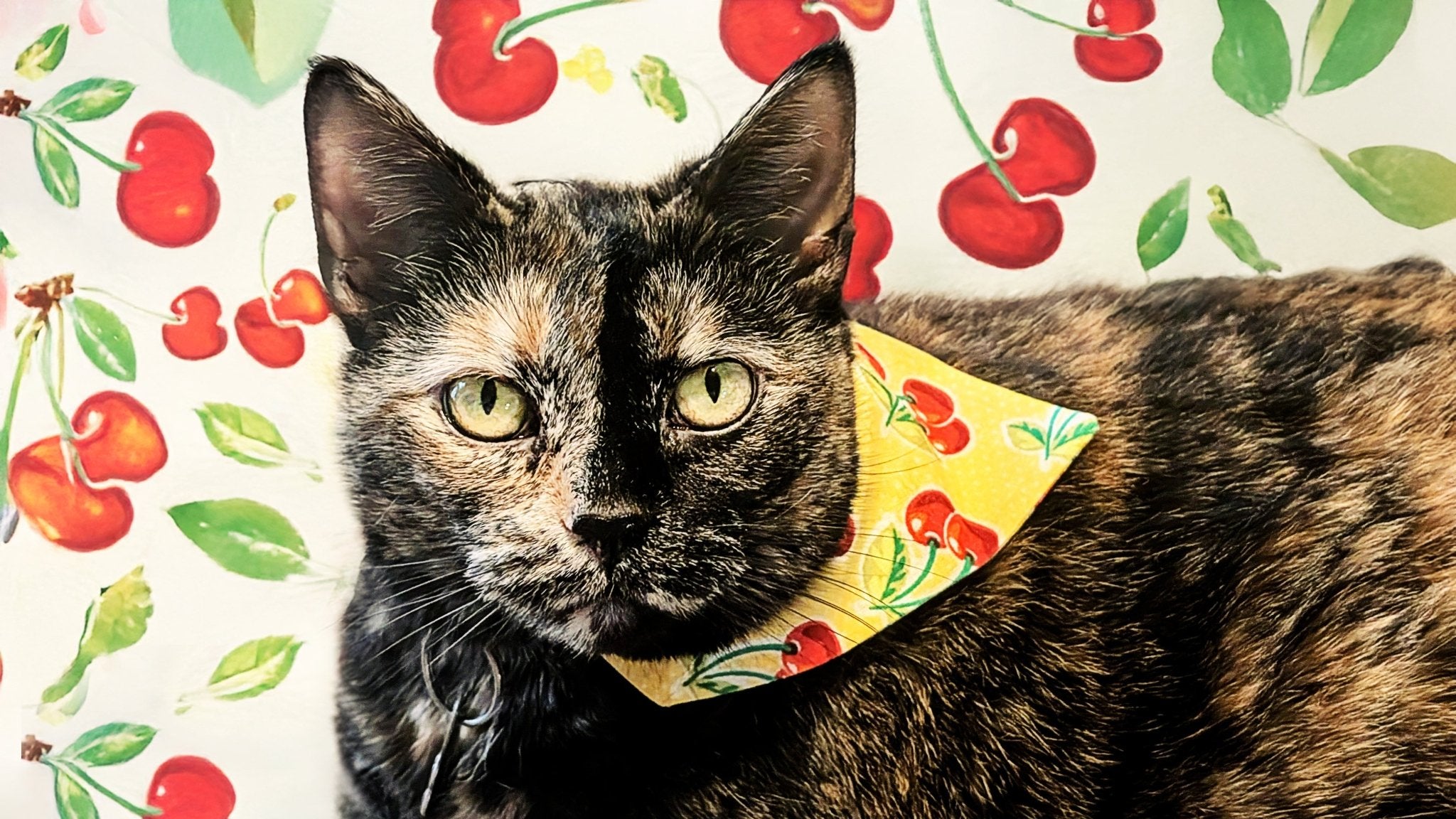 Best Sellers - Mutty Mornings