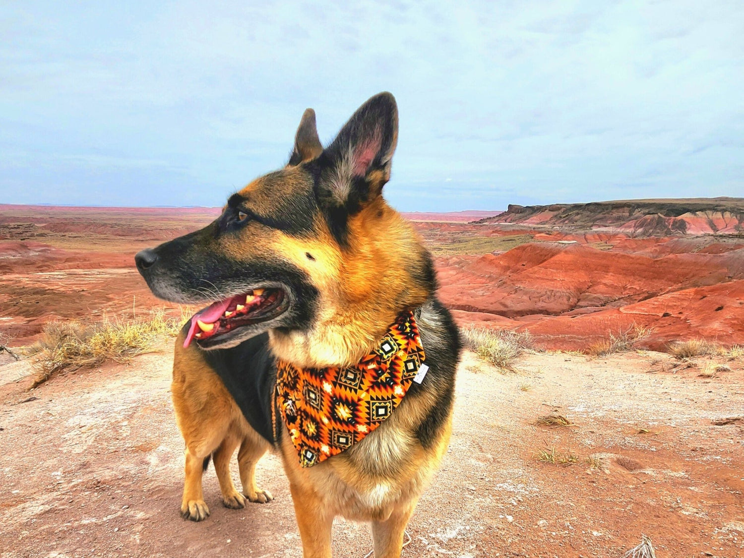 Howl in the Wild - Mutty Mornings