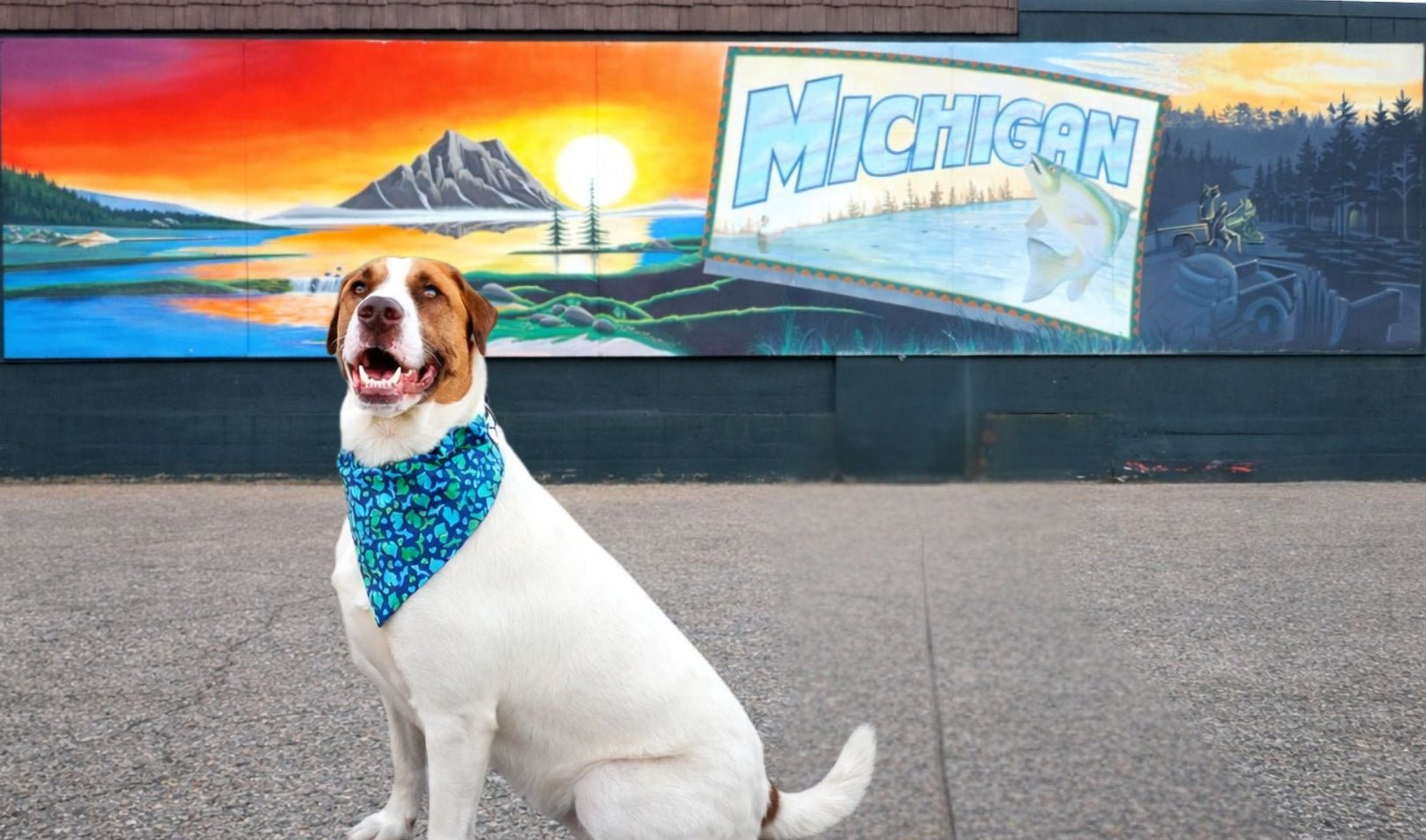 The Michigan Collection - Mutty Mornings