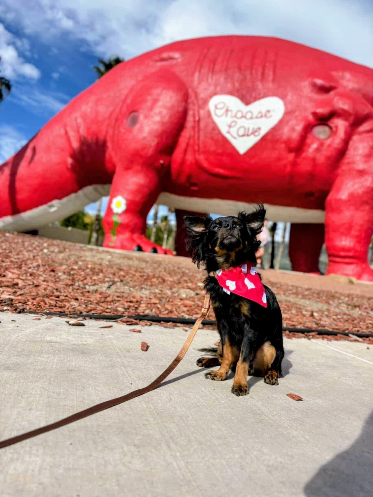 Valentine's Day - Mutty Mornings