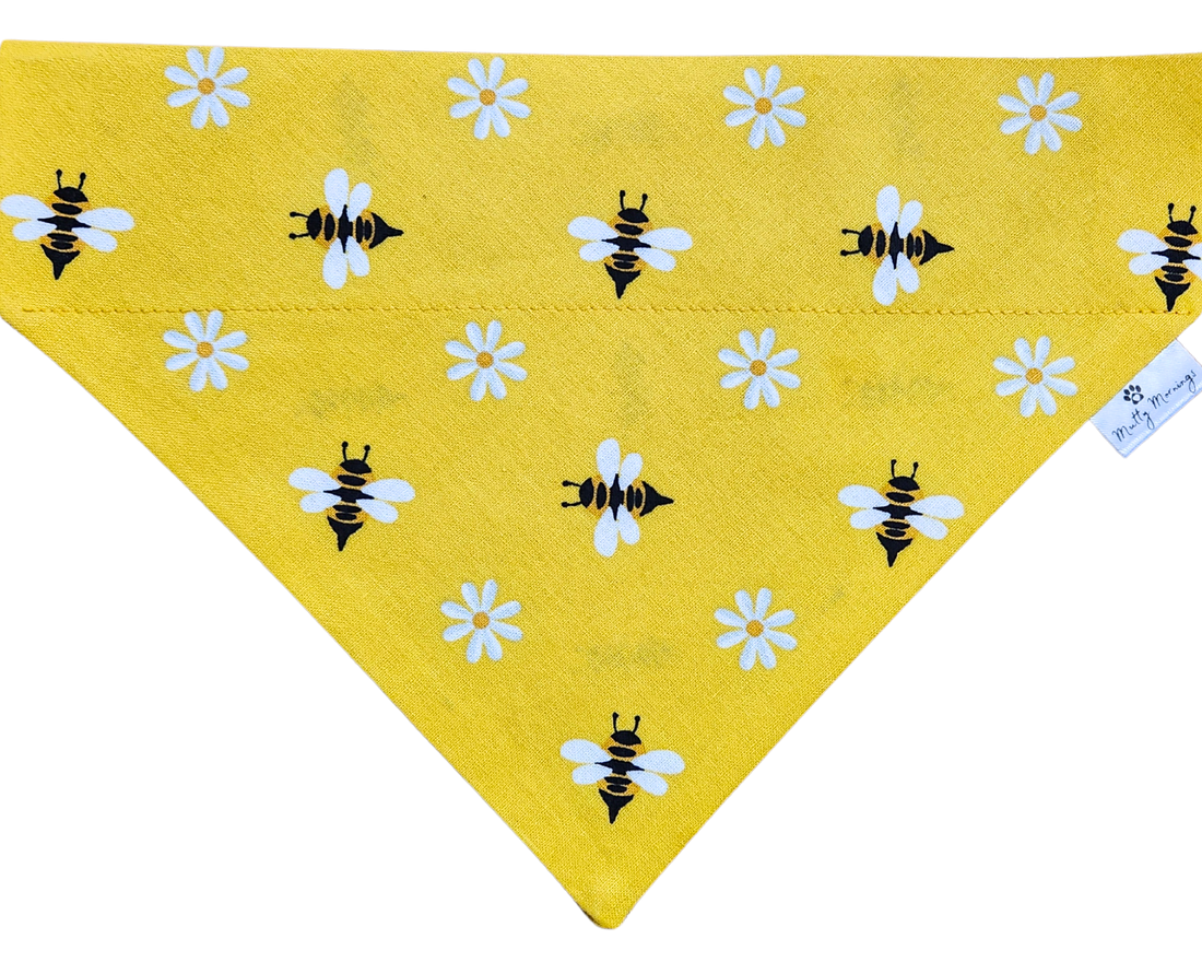 Buzzing Blooms Pet Bandana