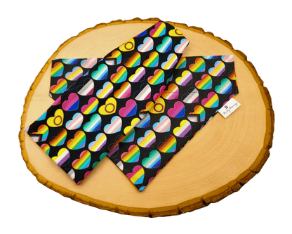 A Heart is a Heart Pride Bandana &amp; Headband Set - Mutty Mornings