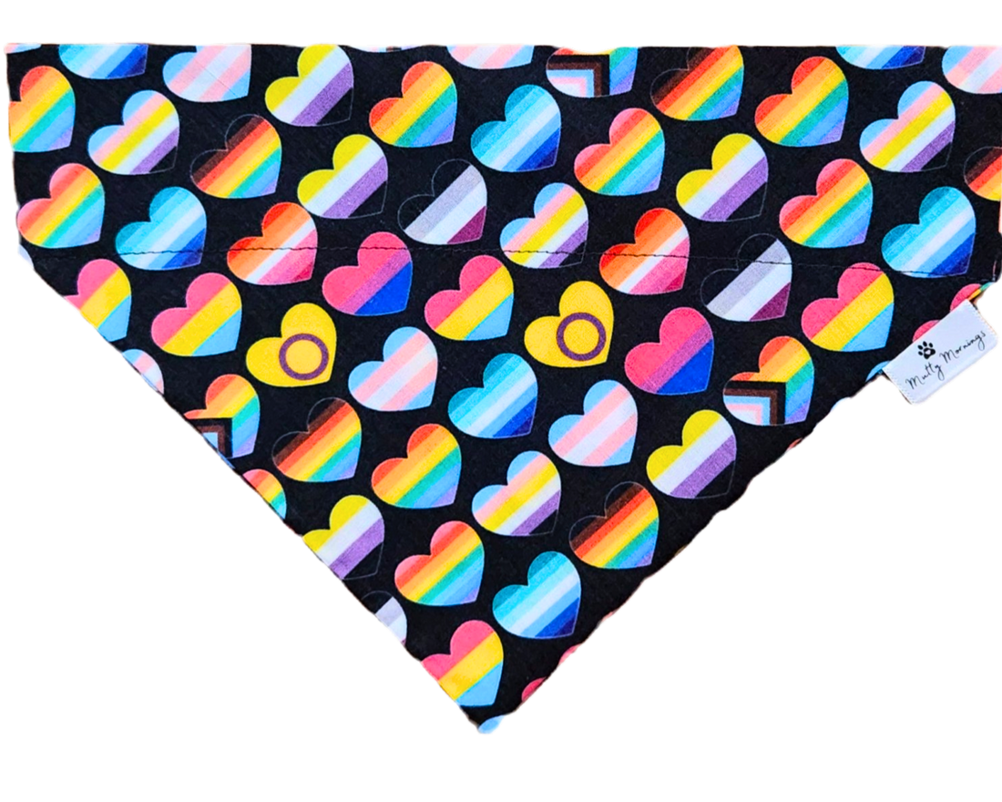 A Heart is a Heart Pride Pet Bandana - Mutty Mornings