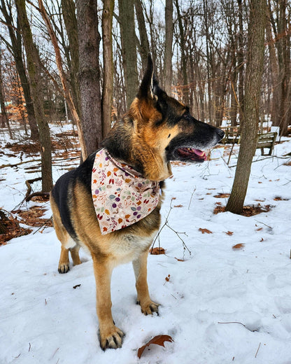 Acorn Trail Pet Bandana - Mutty Mornings