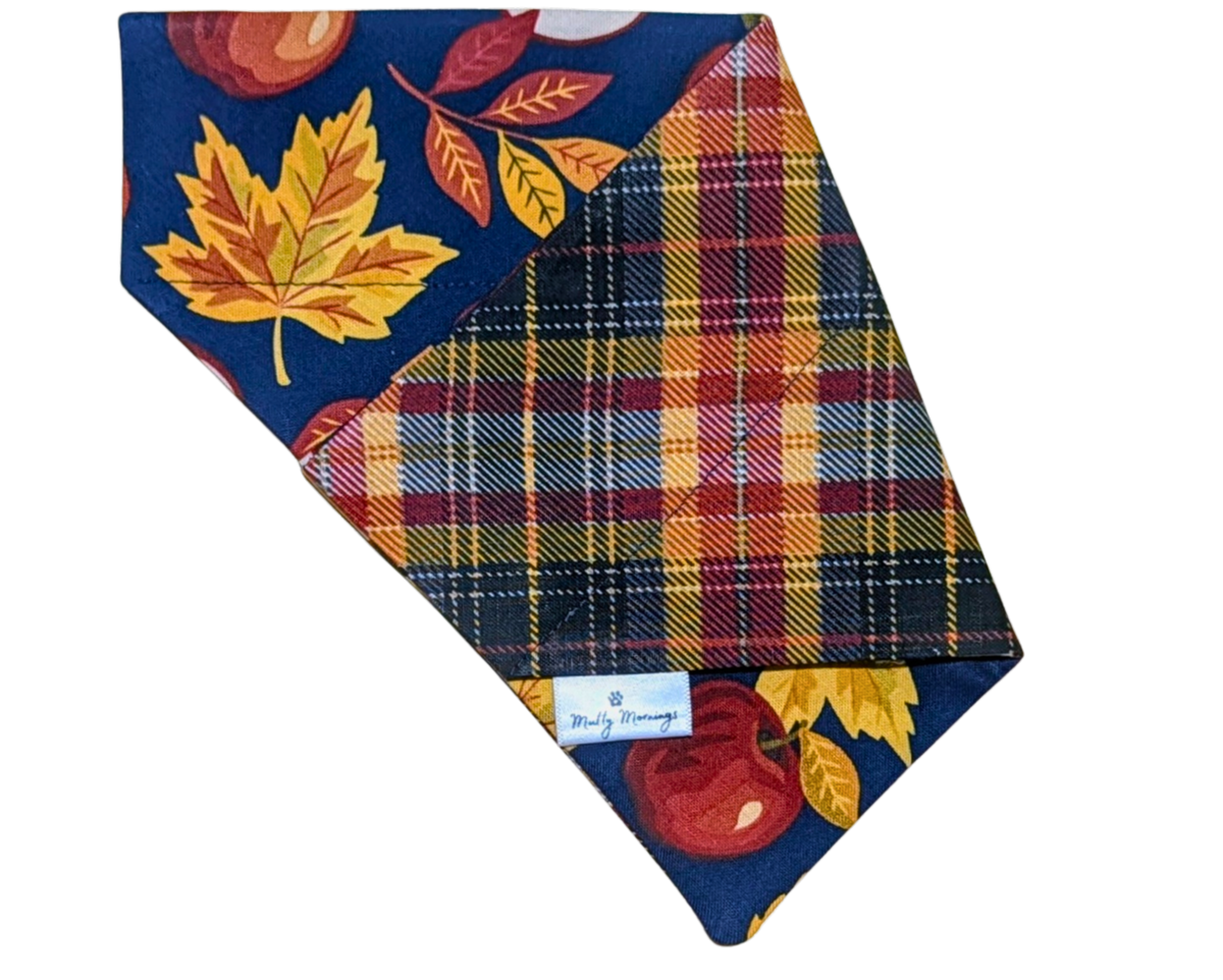 Apple Orchard &amp; Bonfire Plaid Reversible Pet Bandana - Mutty Mornings