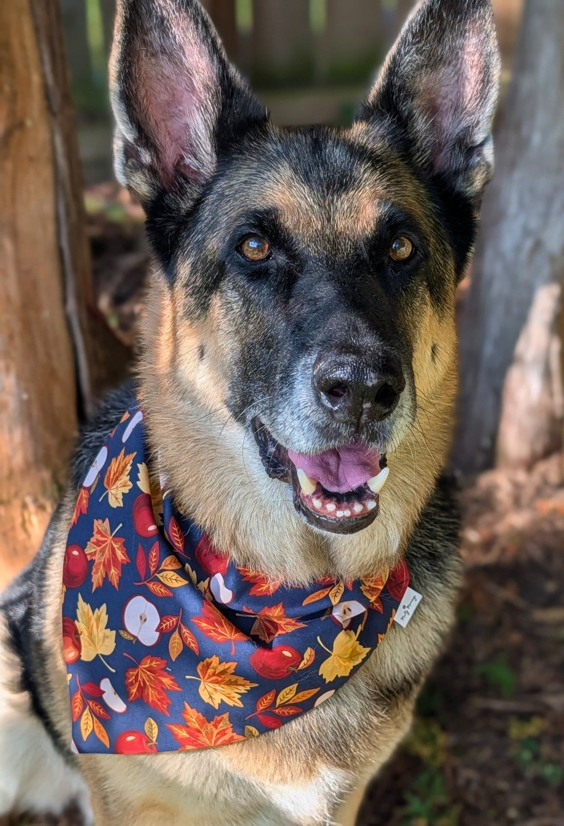 Apple Orchard Pet Bandana - Mutty Mornings