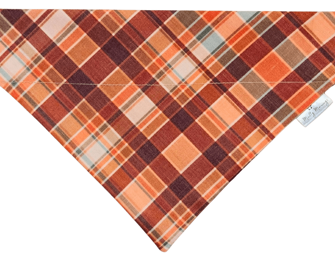 Autumn Harvest Plaid Pet Bandana - Mutty Mornings
