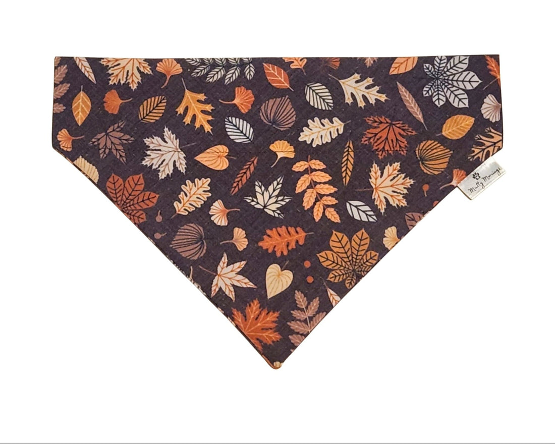 Autumn Leaves Pet Bandana - Mutty Mornings