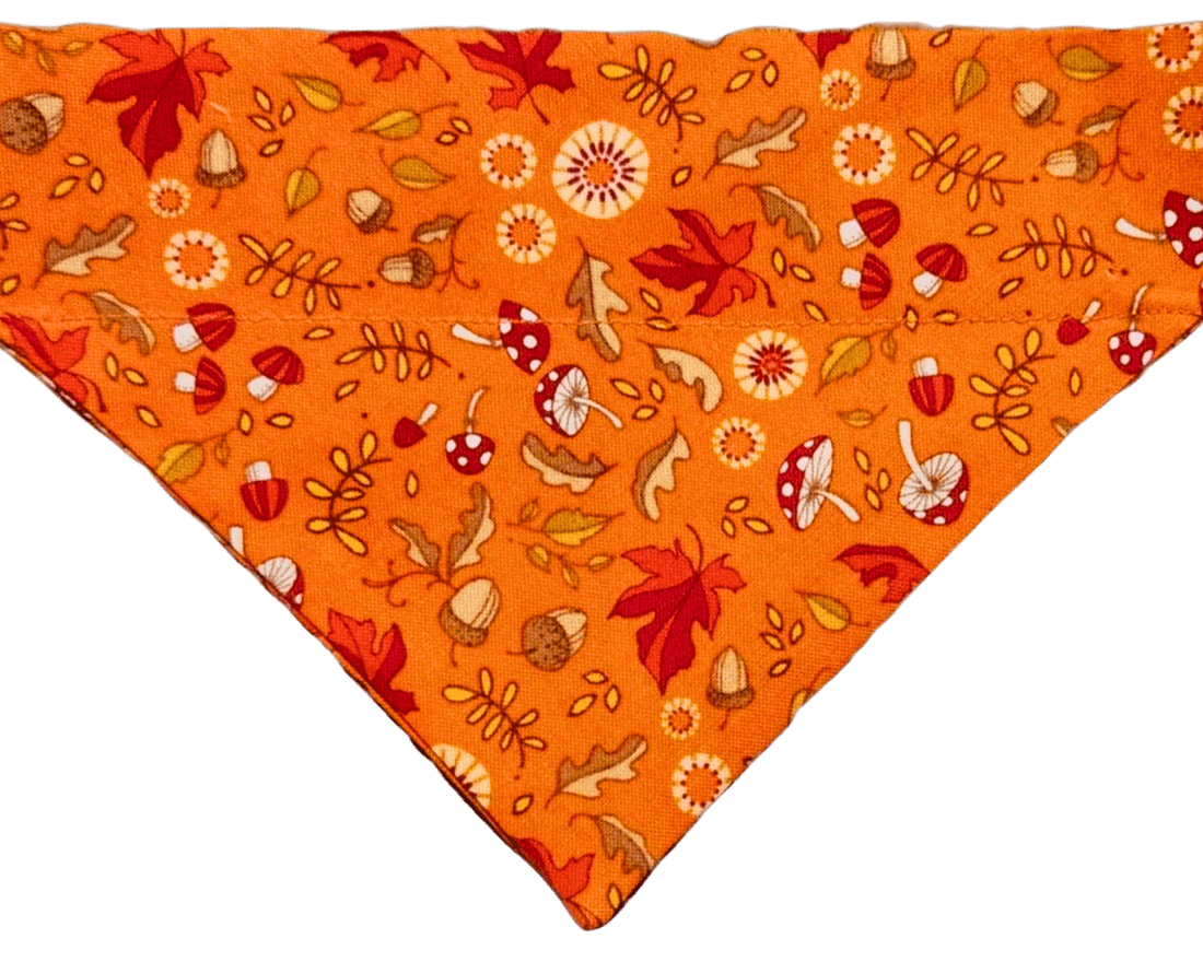 Autumn Trail Pet Bandana - Mutty Mornings