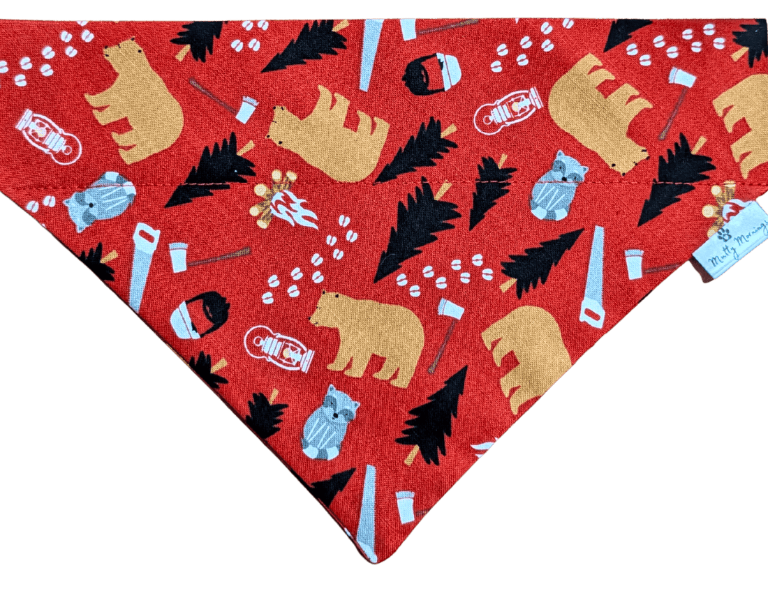 Bear Necessities Pet Bandana - Mutty Mornings