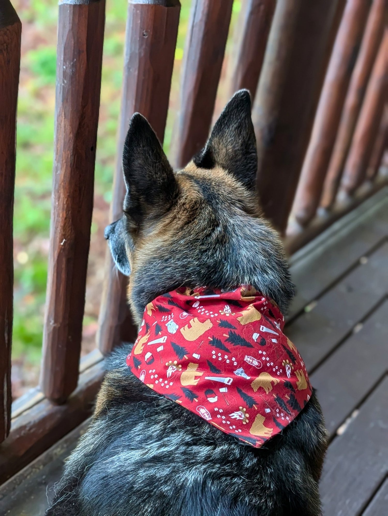 Bear Necessities Pet Bandana - Mutty Mornings
