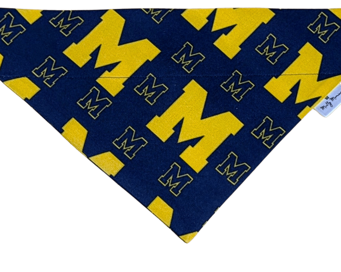 Big House M Pet Bandana - Mutty Mornings
