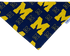 Big House M Pet Bandana - Mutty Mornings
