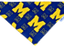 Big House M Pet Bandana - Mutty Mornings